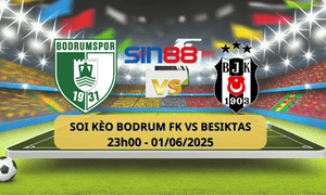 Logo đội Bodrumspor Beşiktaş